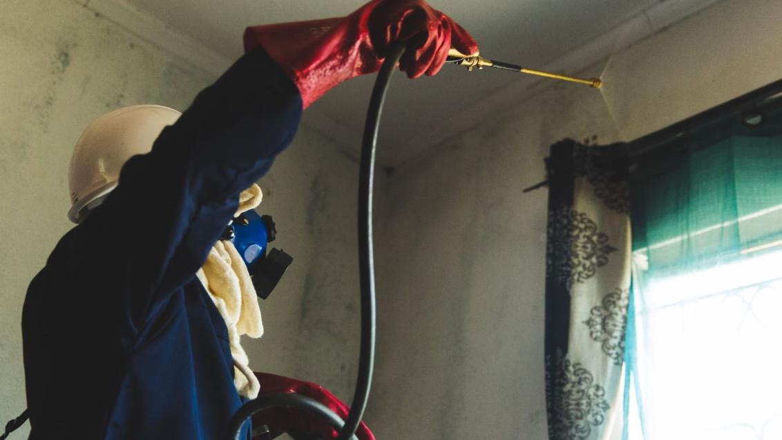 Cockroach Control